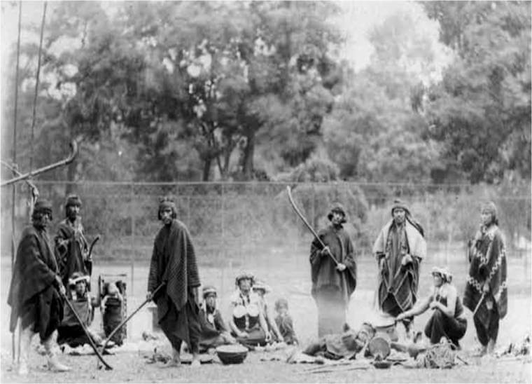 Zoológicos humanos: Fotografías de fueguinos y mapuches en el Jardin d´Acclimatation de París, siglo XIX. Christian Báez y Peter Mason.