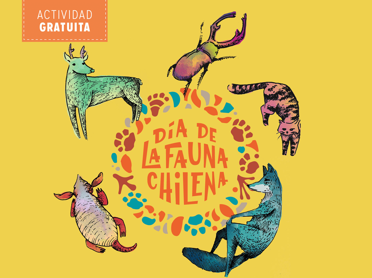 Ya están abiertas las votaciones para elegir al animal embajador de la fauna chilena