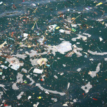 Uno de los desechos más abundantes en el océano es algo que no esperarías