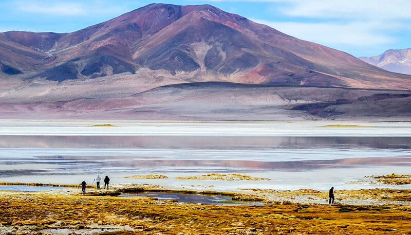 Salar de Huasco ©Turismo Tamarugal