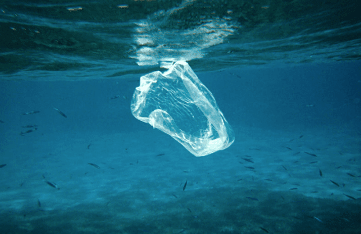 Hoy comienza la prohibición de la entrega de bolsas plásticas en el pequeño comercio, como almacenes y ferias