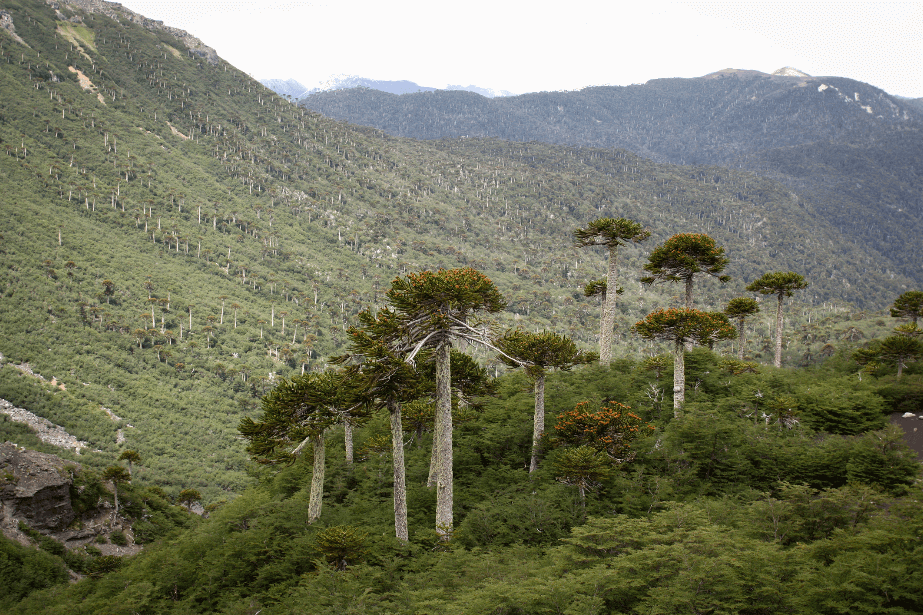 Sierra Nevada © Amelia Ortúzar