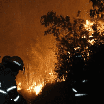 Incendios forestales en la Región del Biobío: se mantiene alerta roja en tres comunas y Gobierno presentó querella para quienes resulten responsables