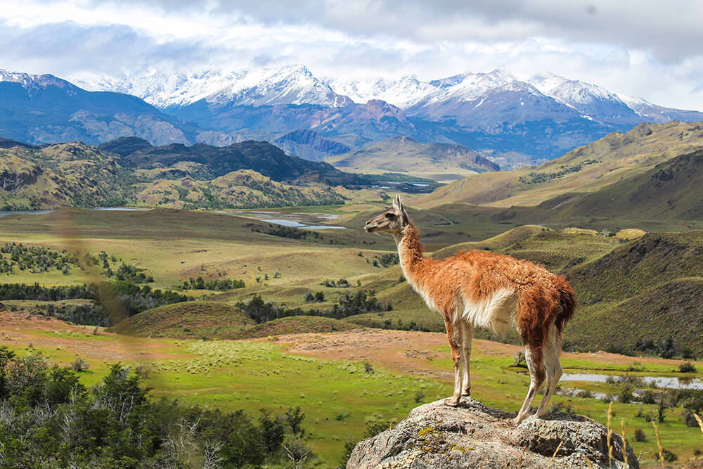 Parque Nacional Patagonia ©Nadine Lehner
