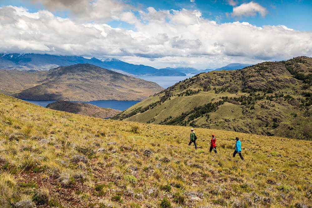 Parques Pumalín y Patagonia inician el traspaso oficial de sus tierras a Conaf