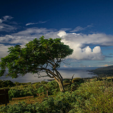 7 postales alternativas para conocer en Rapa Nui