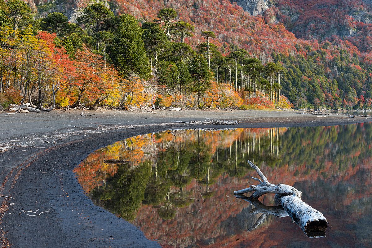Tres lugares ideales para fotografiar el otoño en Chile