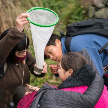 Educación ambiental: la clave en las iniciativas de conservación en Llanquihue