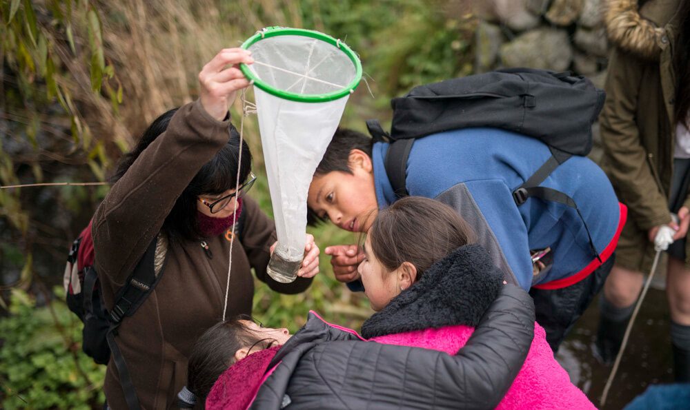 Educación ambiental: la clave en las iniciativas de conservación en Llanquihue