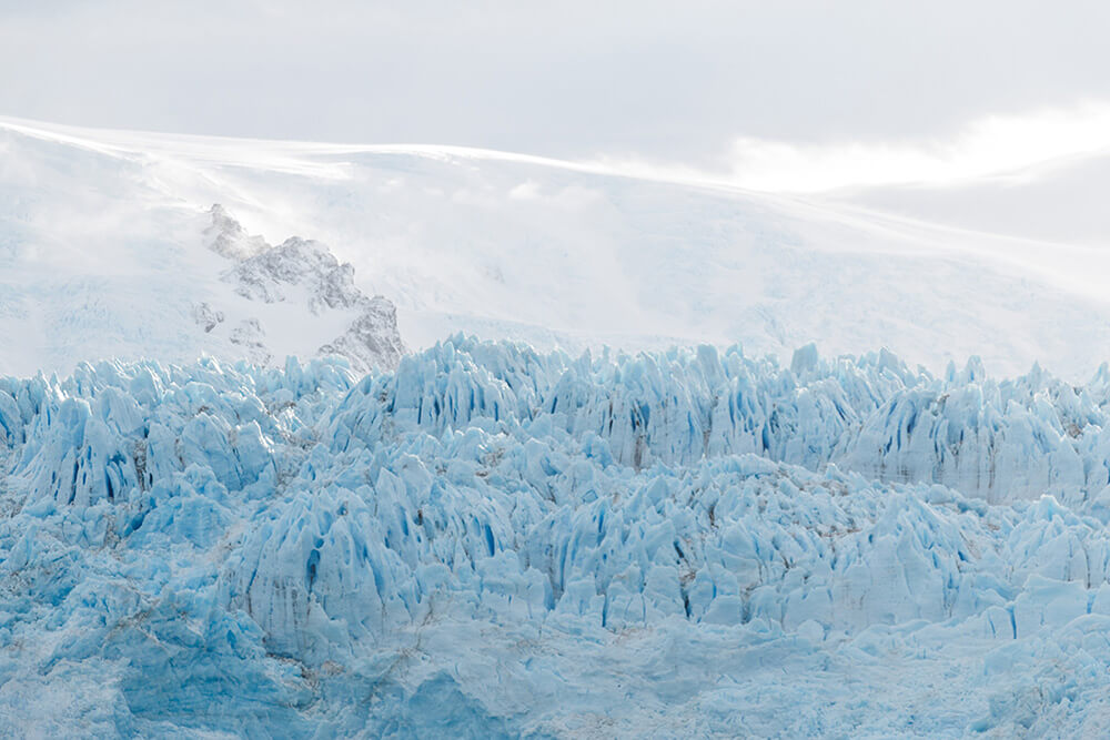 Glaciar Amalia ©Scarlett Araya