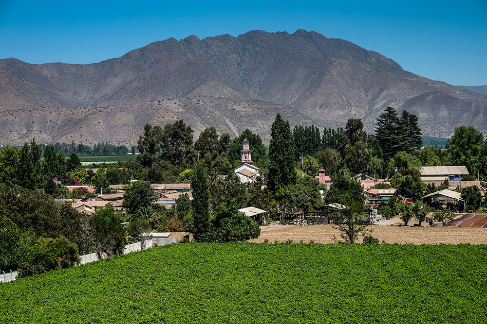 San Francisco es el nombre de este cerro isla ubicado en el corazón de Curimón y que ofrece vistas en 360° del valle. Cada 4 de octubre la comunidad local sube a su cima para la fiesta de San Francisco, donde el cura del pueblo bendice a sus animales.