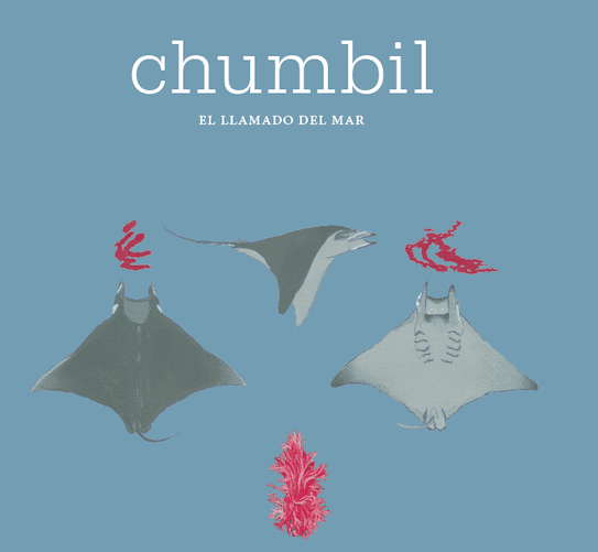 Chumbil: un libro de entrevistas imperdibles acerca de la protección de los océanos