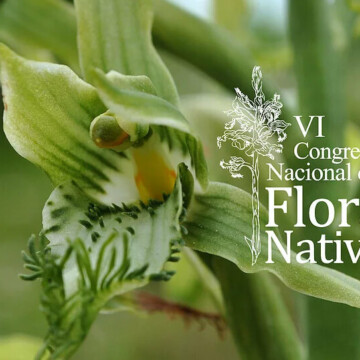 Ya está abierta la convocatoria para participar del VI Congreso Nacional de Flora Nativa