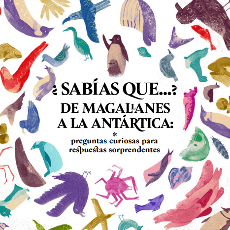 Lanzan libro educativo con ilustraciones y datos curiosos de Magallanes a la Antártica