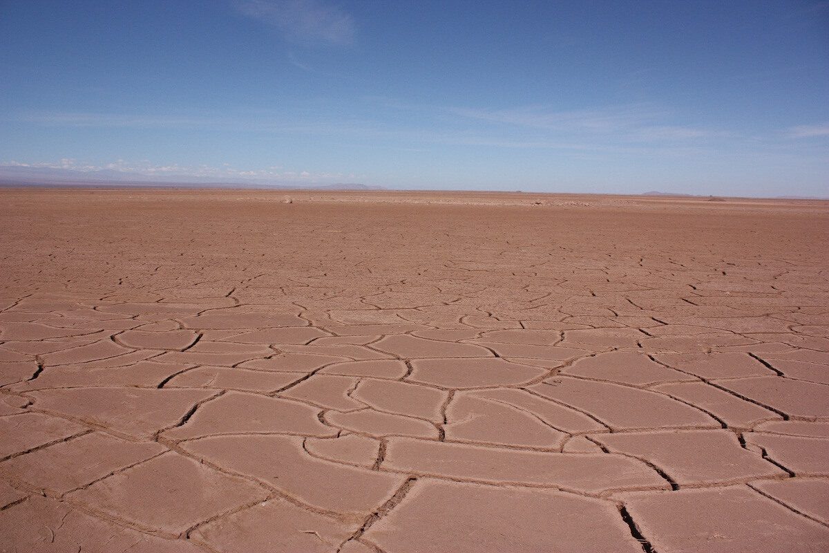 Desertificación en Chile: el desafío de proteger la productividad de las tierras