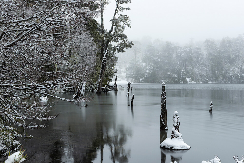 La laguna Captrén se congela todos los inviernos. Se encuentra por el acceso sur al parque Conguillío ©Augusto Domínguez
