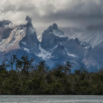 Chile en el top 10 de los países más desfinanciados para la conservación de la biodiversidad