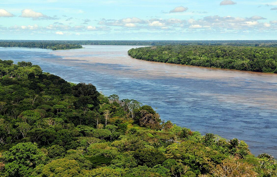 Amazonas en peligro: deforestación en Brasil aumentó en un 60% respecto al mismo período de 2018