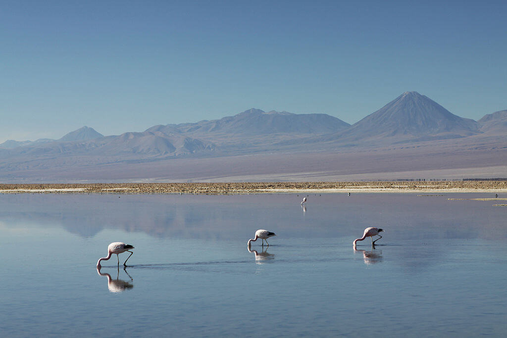 Salar de Atacama ©Ben Goetzinger