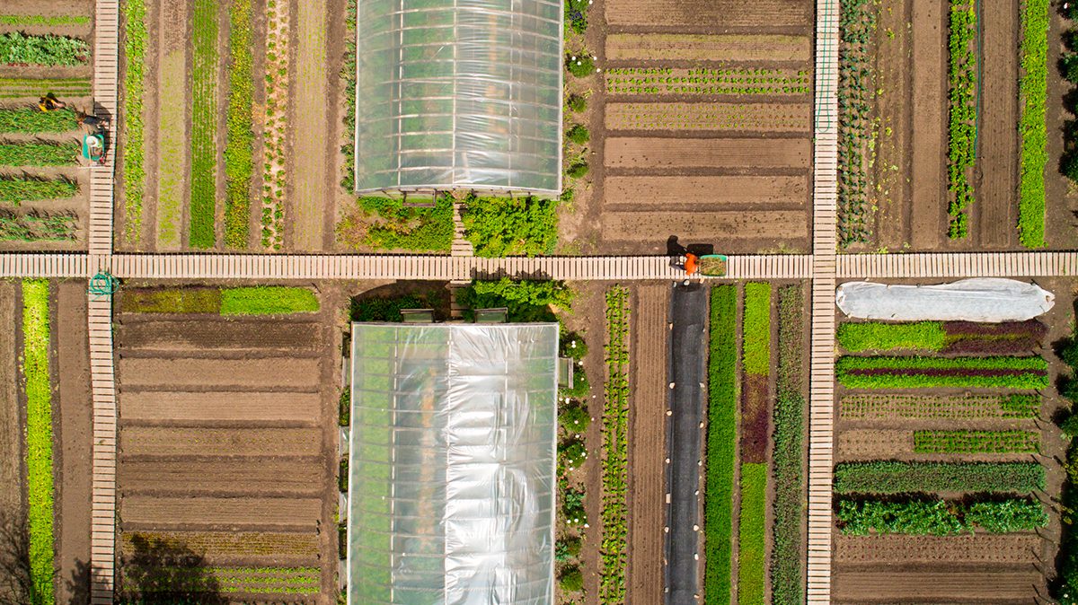 ¡Imperdible! Conversatorio “Agricultura regenerativa: de la semilla al plato»