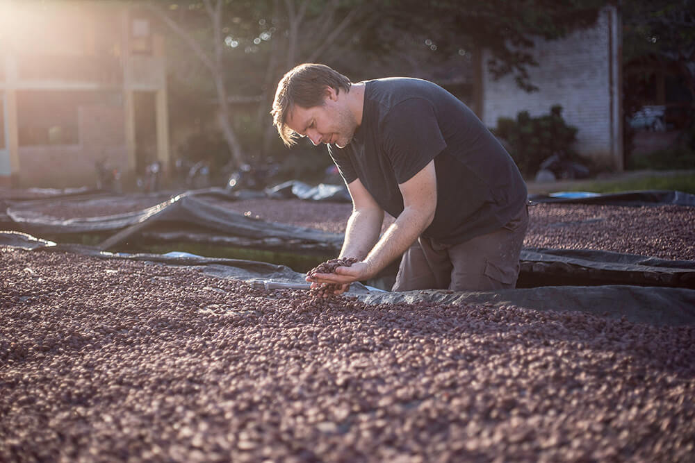 ©Mark seleccionando granos de cacao ©ÓBOLO