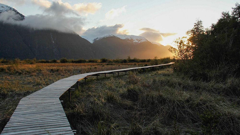 Estación Patagonia UC: un sitio clave para la investigación de los efectos del cambio climático