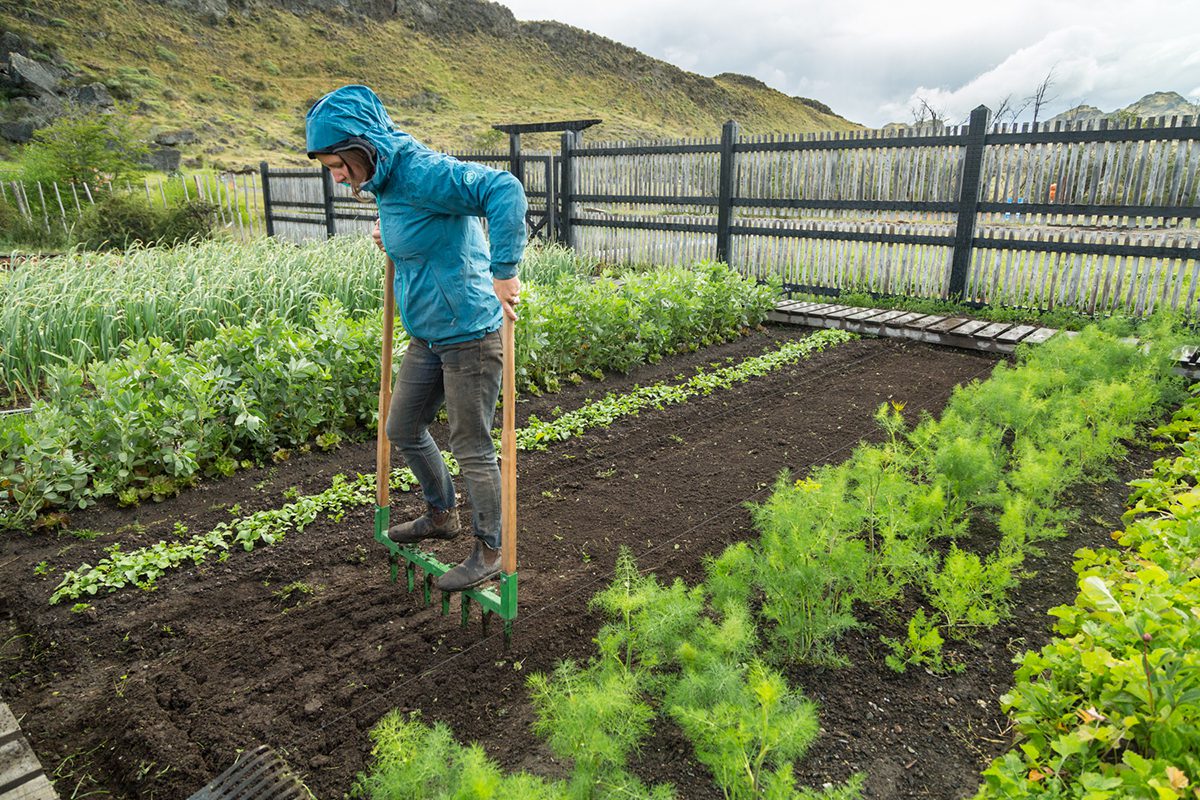 ¡Imperdible! Conversatorio sobre agricultura regenerativa llega a Pichilemu