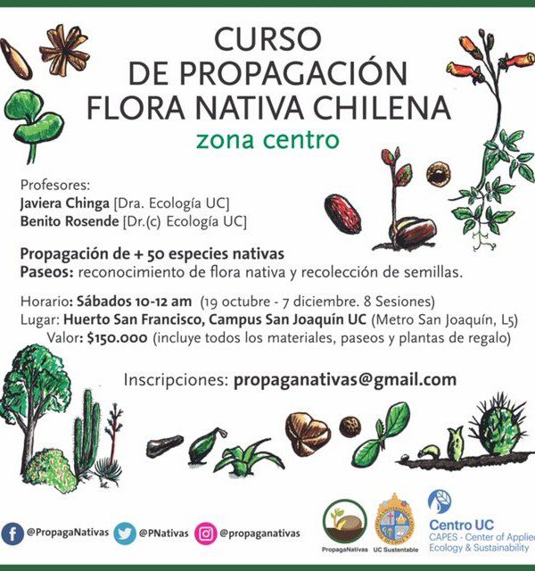Curso: «Propagación de plantas nativas chilenas»
