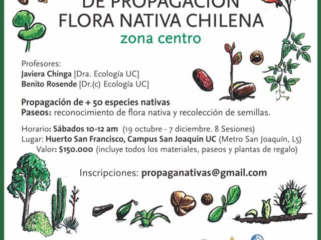 Curso: «Propagación de plantas nativas chilenas»