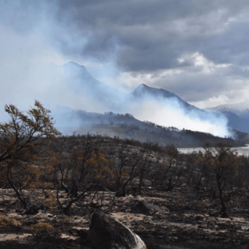 Así es el nuevo plan para prevenir y combatir incendios forestales en Chile