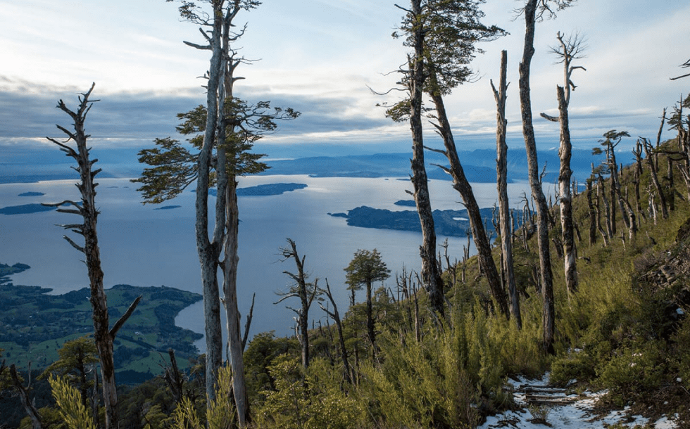 7 paseos imperdibles en los alrededores de lago Ranco