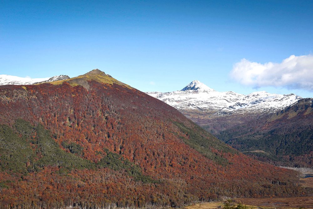 Tierra del Fuego: retratando una inmensidad infinita