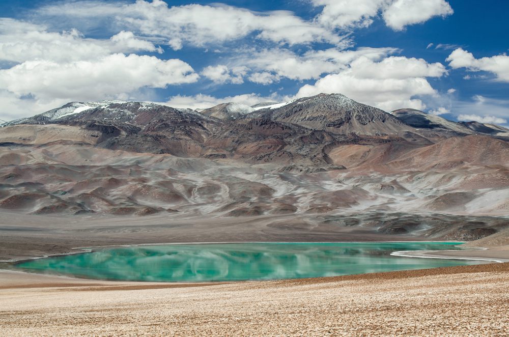 Los secretos mejor guardados de la puna de Atacama (parte II)