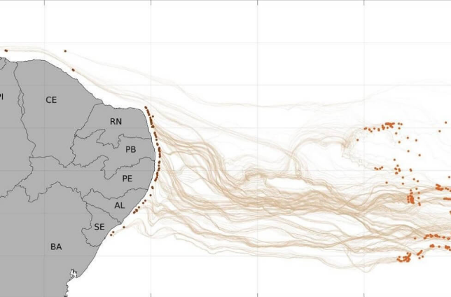 Simulación por computadora que indica la posible procedencia del petróleo. ©Lamce/Coppe/UFR.
