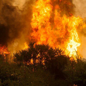 Estudio determinó que casi tres millones de chilenos viven en zonas con gran amenaza de incendio forestal