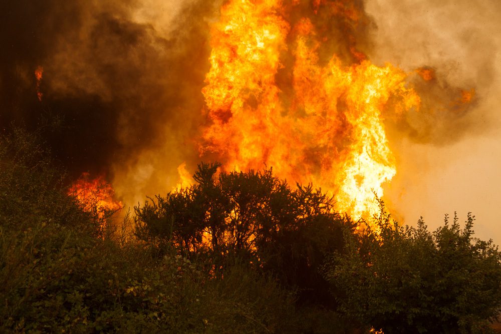 ¿Qué falta para la prevención de incendios forestales en Chile?
