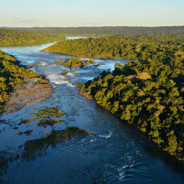 Amazonas de Brasil alcanza su mayor deforestación en 11 años