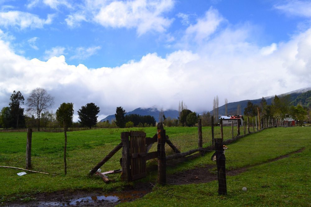 ¿Cómo las redes locales pueden ayudar al turismo en la Región de la Araucanía?