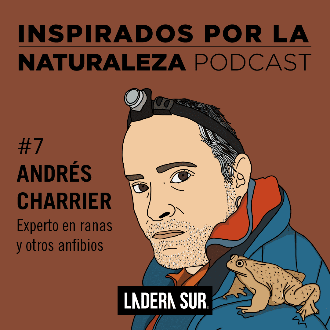 Podcast Inspirados por la Naturaleza: #7 Andrés Charrier, experto en ranas y otros anfibios