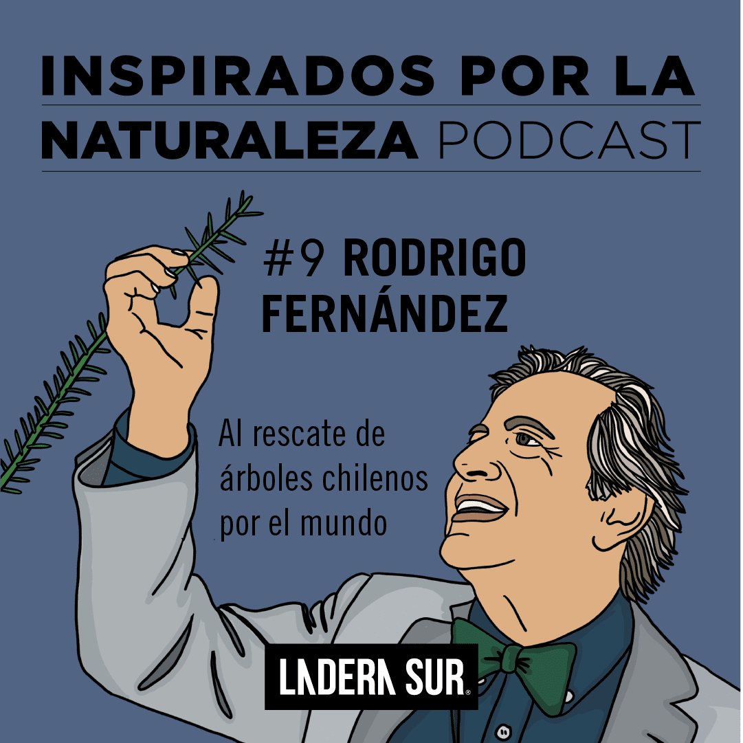 Podcast Inspirados por la Naturaleza: #9 Rodrigo Fernández, al rescate de los árboles chilenos en el mundo