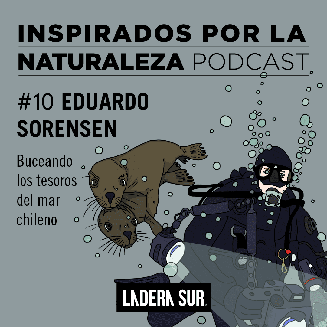 Podcast Inspirados por la Naturaleza: #10 Eduardo Sorensen, buceando los tesoros del mar chileno