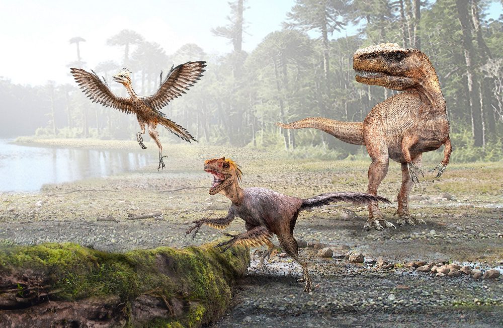 ¿Cómo fue la transición de los dinosaurios a las aves? El vínculo entre la reducción de tamaño y la evolución a la “sangre caliente”