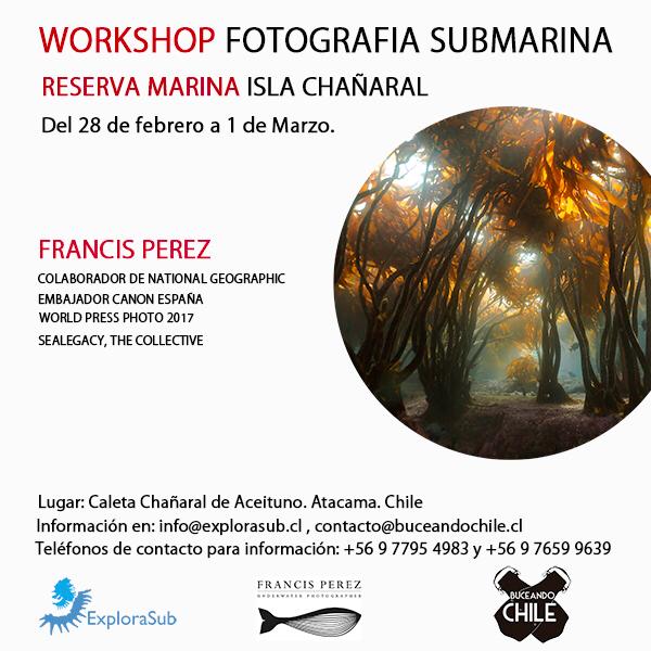 Workshop fotografía submarina en Chañaral de Aceituno