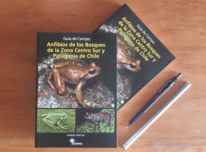 Guia campo anfibios Chile – Andres Charrier