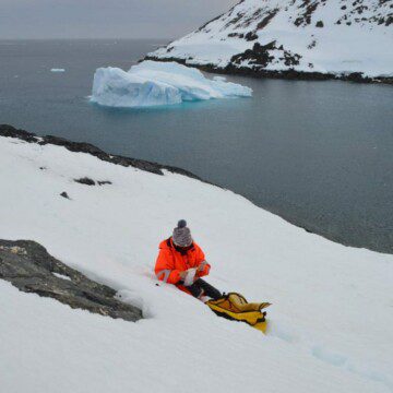 Científicos estudian los pesticidas presentes en los ecosistemas marinos de la Antártica