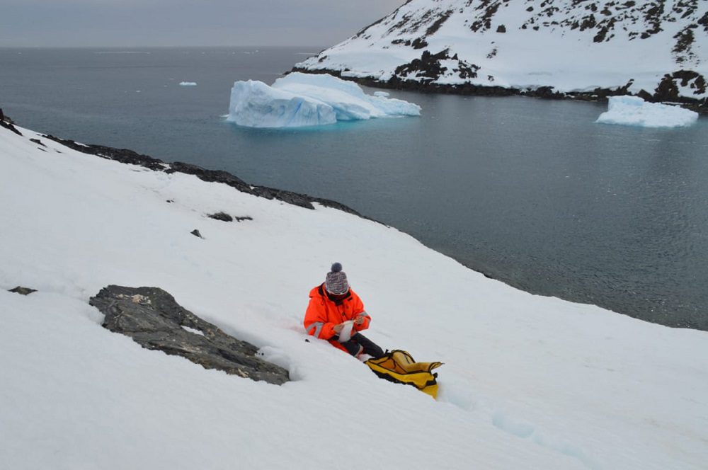 Científicos estudian los pesticidas presentes en los ecosistemas marinos de la Antártica