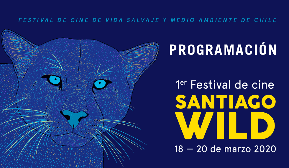 Santiago Wild: ¡conoce el programa y fecha de inscripción para el primer festival de cine sobre vida salvaje y medioambiente!