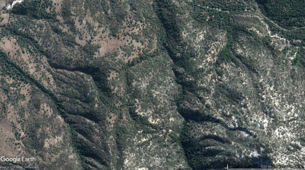 Reserva Nacional Río Clarillo 2015- GEF Montaña