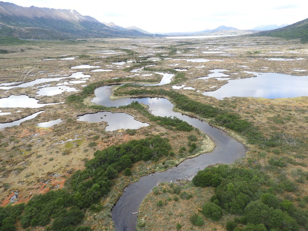 Sistema de turberas en ríos de la Reserva Nacional Laguna Parrillar1 – Jonathan Lara Proyecto GEF Castor