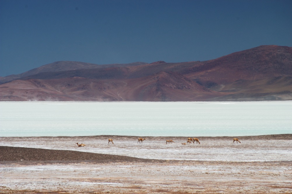 Laguna Brava, sector argentino / ©Daniel Guerrero
